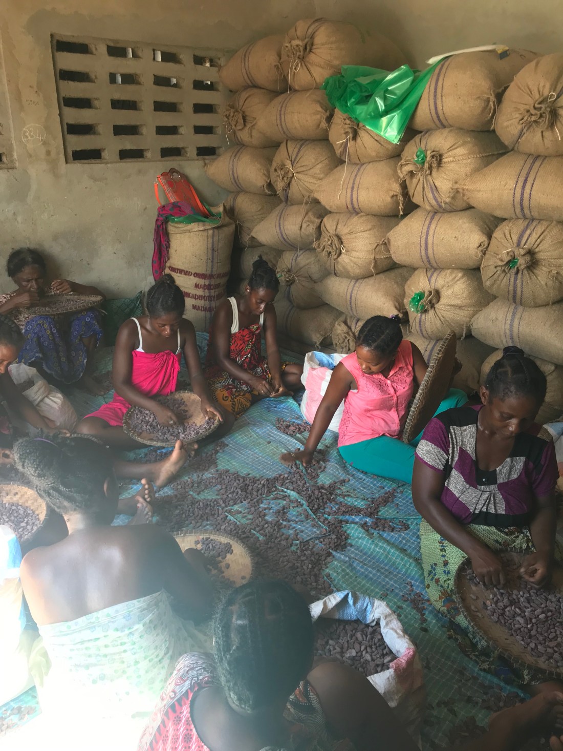 Women sorting dried cacao beans